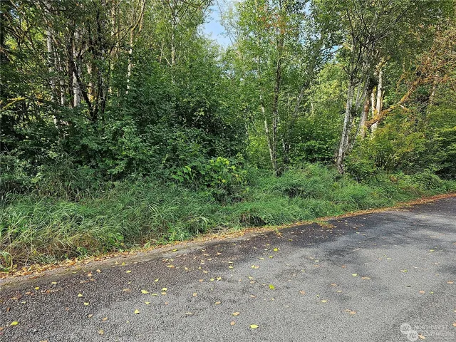 a view of a out door space