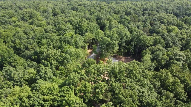a view of a green field with lots of bushes