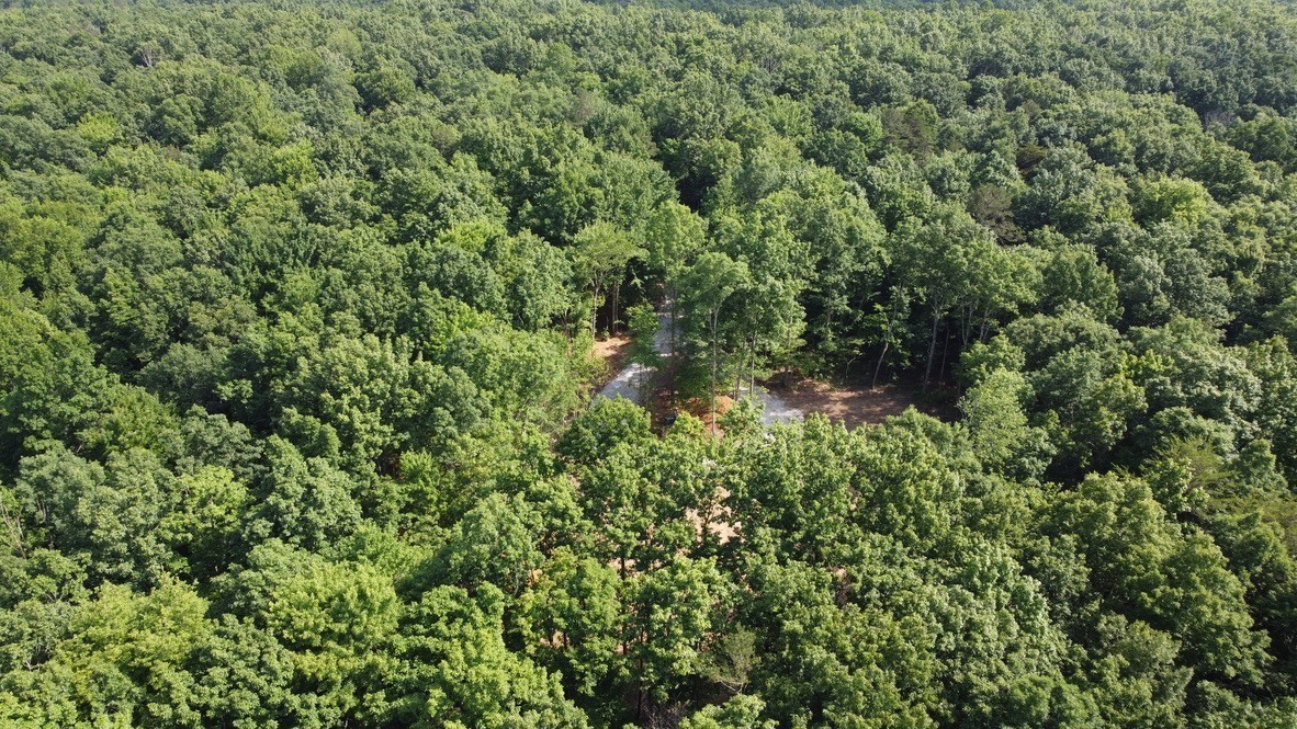 916 North Rim Drive Coalmont, TN 37313 - Photo 17 of 24 a view of a lush green forest