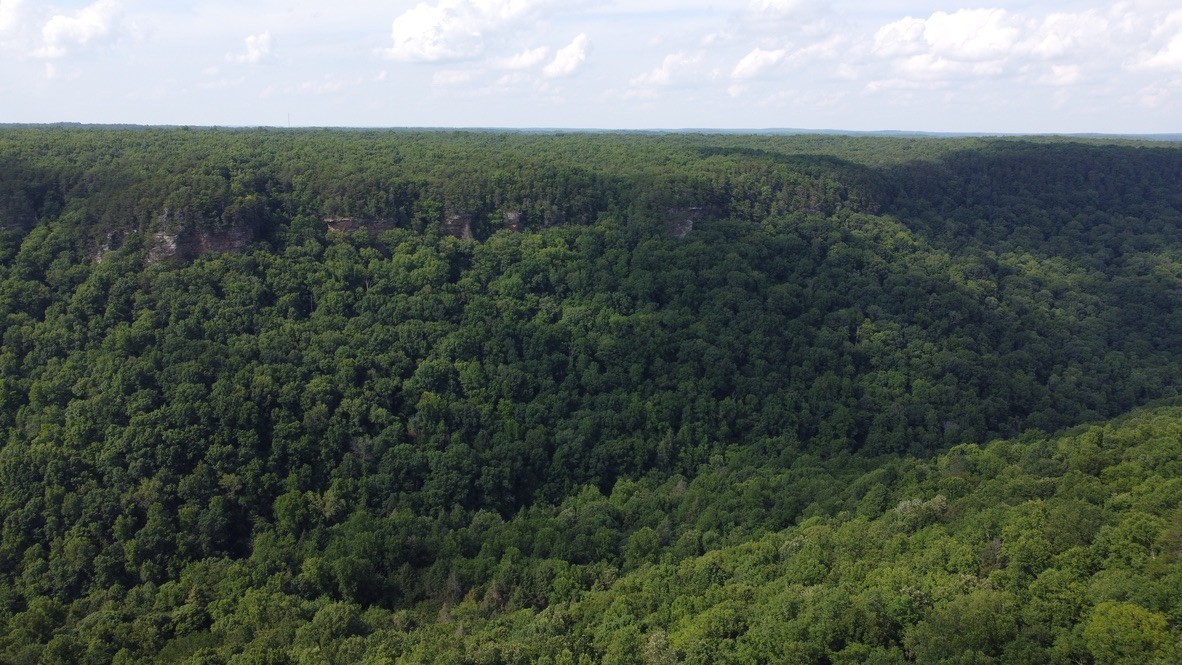 916 North Rim Drive Coalmont, TN 37313 - Photo 18 of 24 a view of a green field with lots of bushes