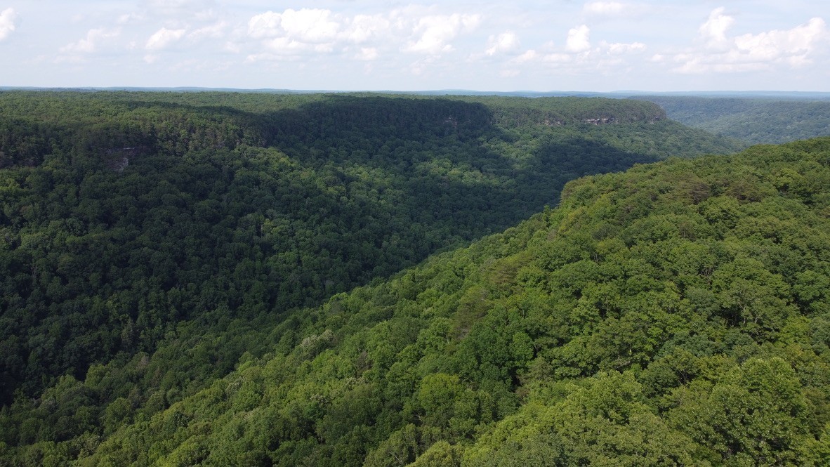 916 North Rim Drive Coalmont, TN 37313 - Photo 2 of 24 a view of a lush green space with sea