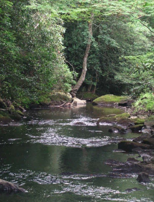 916 North Rim Drive Coalmont, TN 37313 - Photo 24 of 24 a view of a lake view