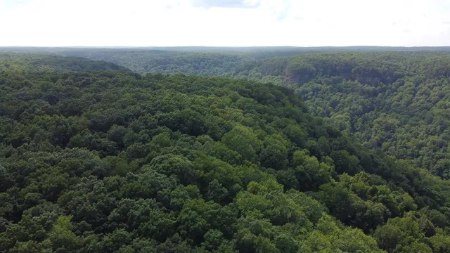 an aerial view of forest