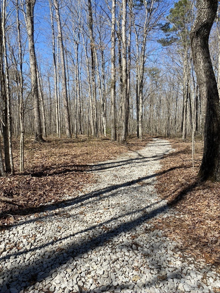 916 North Rim Drive Coalmont, TN 37313 - Photo 4 of 24 a view of a yard