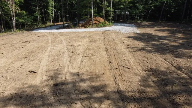 a view of yard with trees