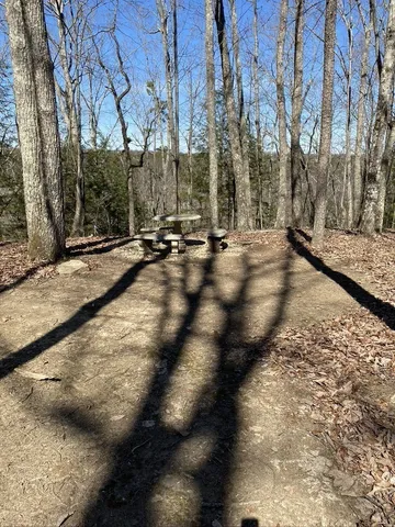 a view of a yard with trees