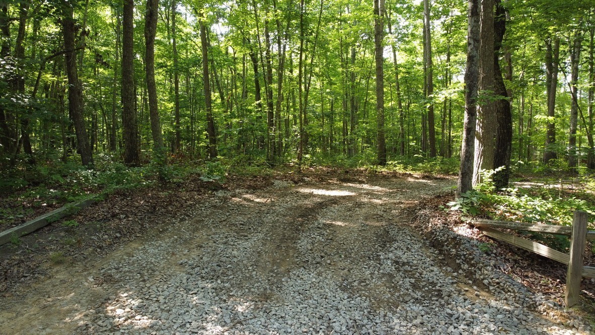 916 North Rim Drive Coalmont, TN 37313 - Photo 10 of 24 a view of outdoor space and trees