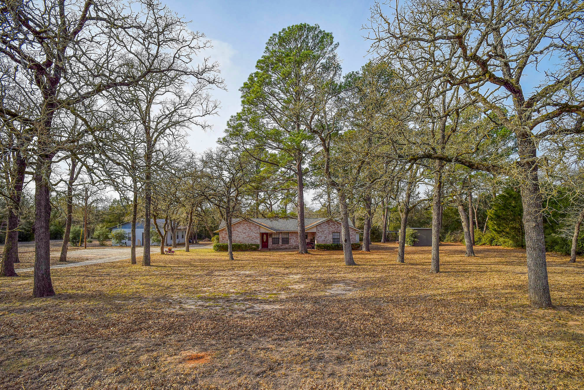 a view of park with trees