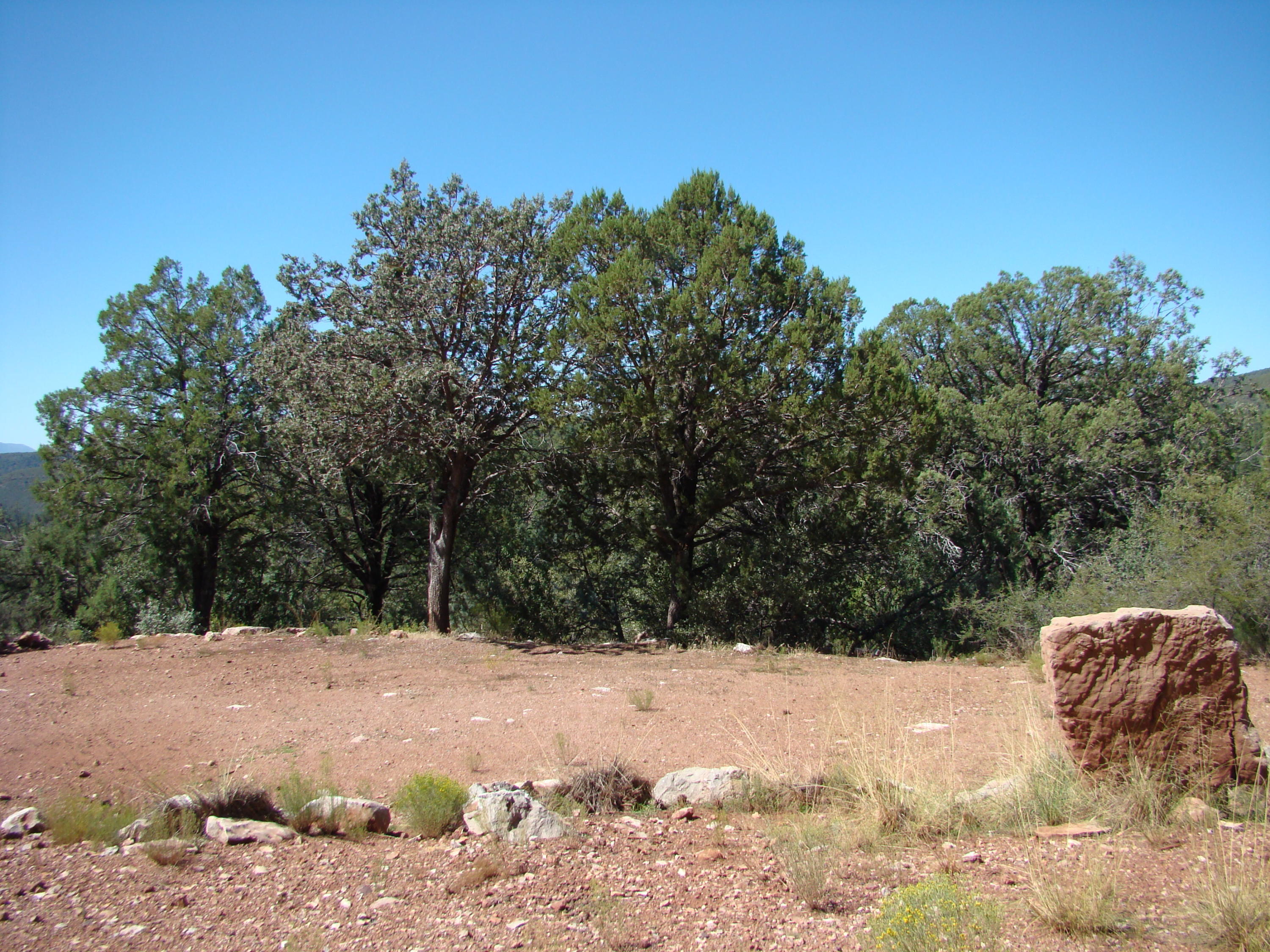 17033 Fire Control Road Payson, AZ 85541 - Photo 12 of 28