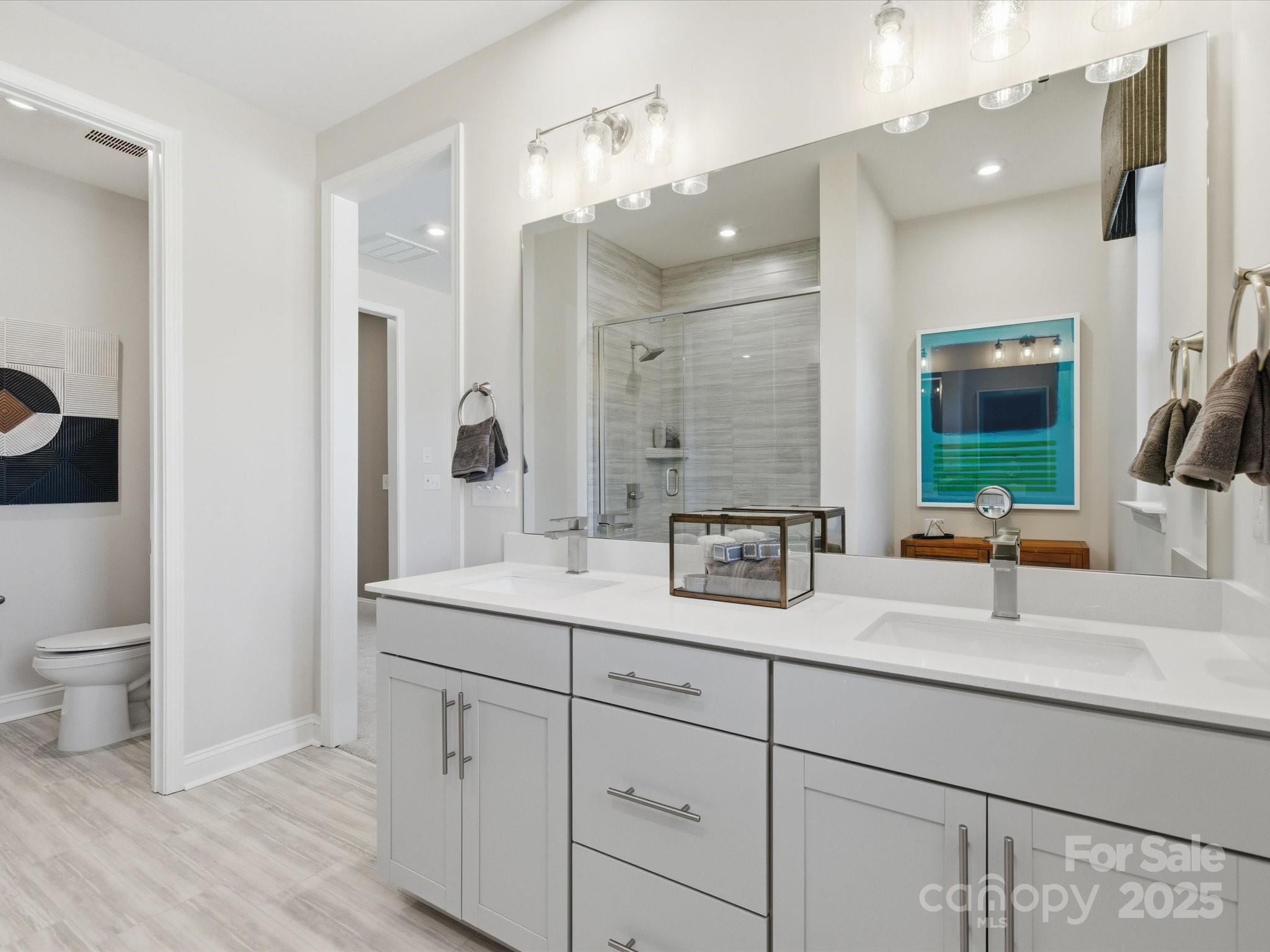 492 Nash Street Fort Mill, SC 29715 - Photo 21 of 28 a bathroom with a sink a toilet and a large mirror