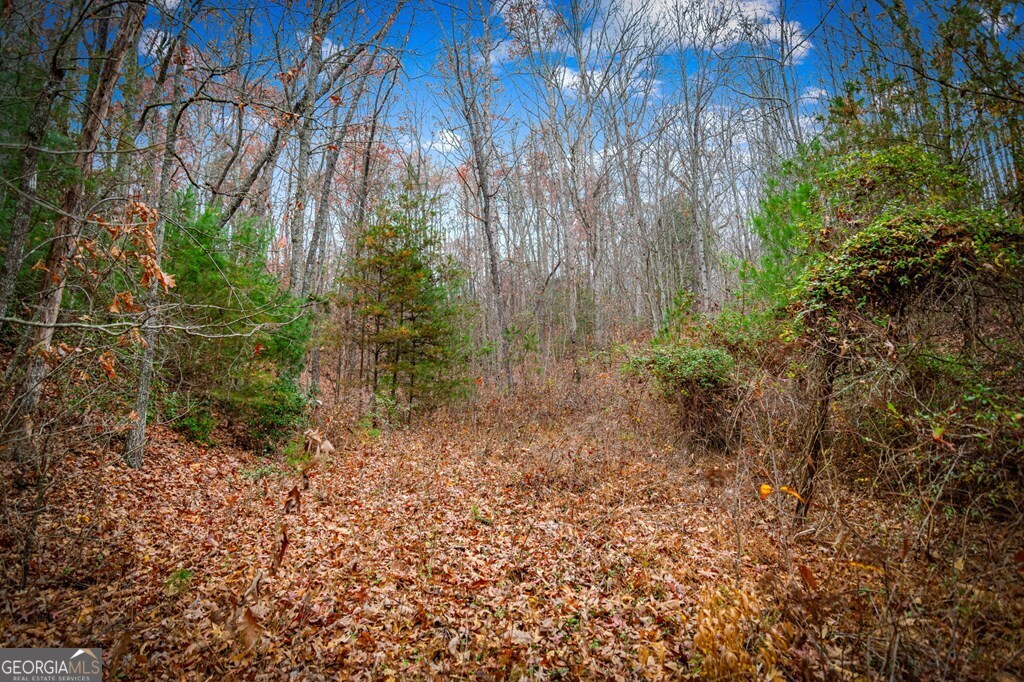 5.97-ac Bullen Gap Road Blue Ridge, GA 30513 - Photo 5 of 11