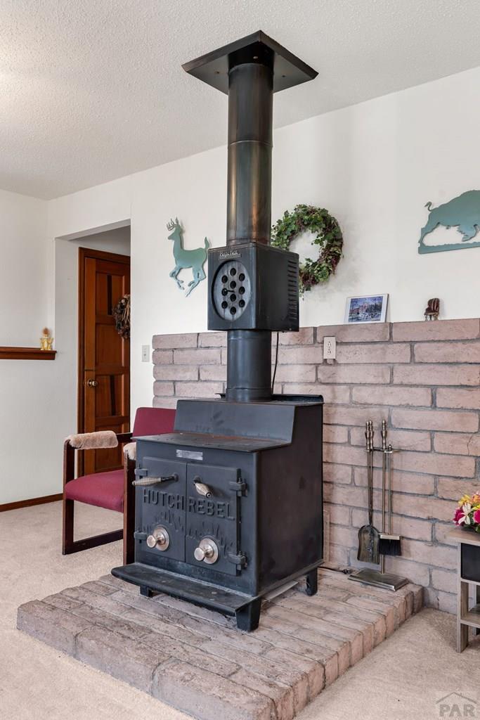 8486 Highway 165 Rye, CO 81069 - Photo 30 of 60