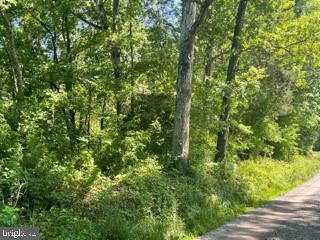 Slaughters Mill Road Mitchells, VA 22729 - Photo 3 of 3 Gallery Image 3