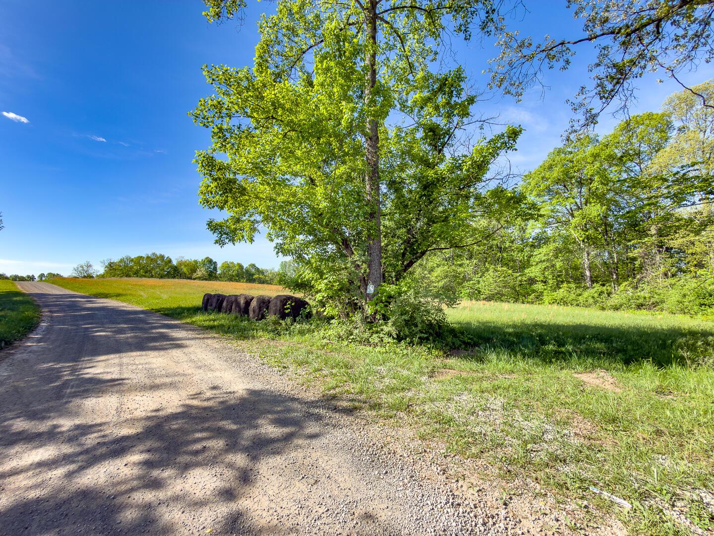 1 Perry Ridge Road Wilkesville, OH 45695 - Photo 2 of 19 Perry Ridge Rd Tract 1-1