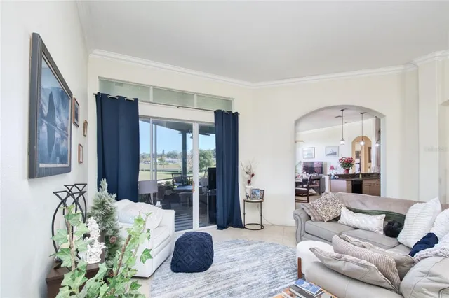 a living room with furniture potted plant and a large window