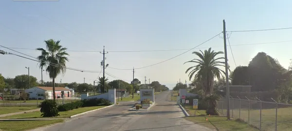 a view of outdoor space with palm trees