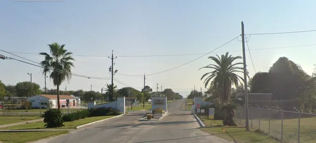 a view of outdoor space with palm trees