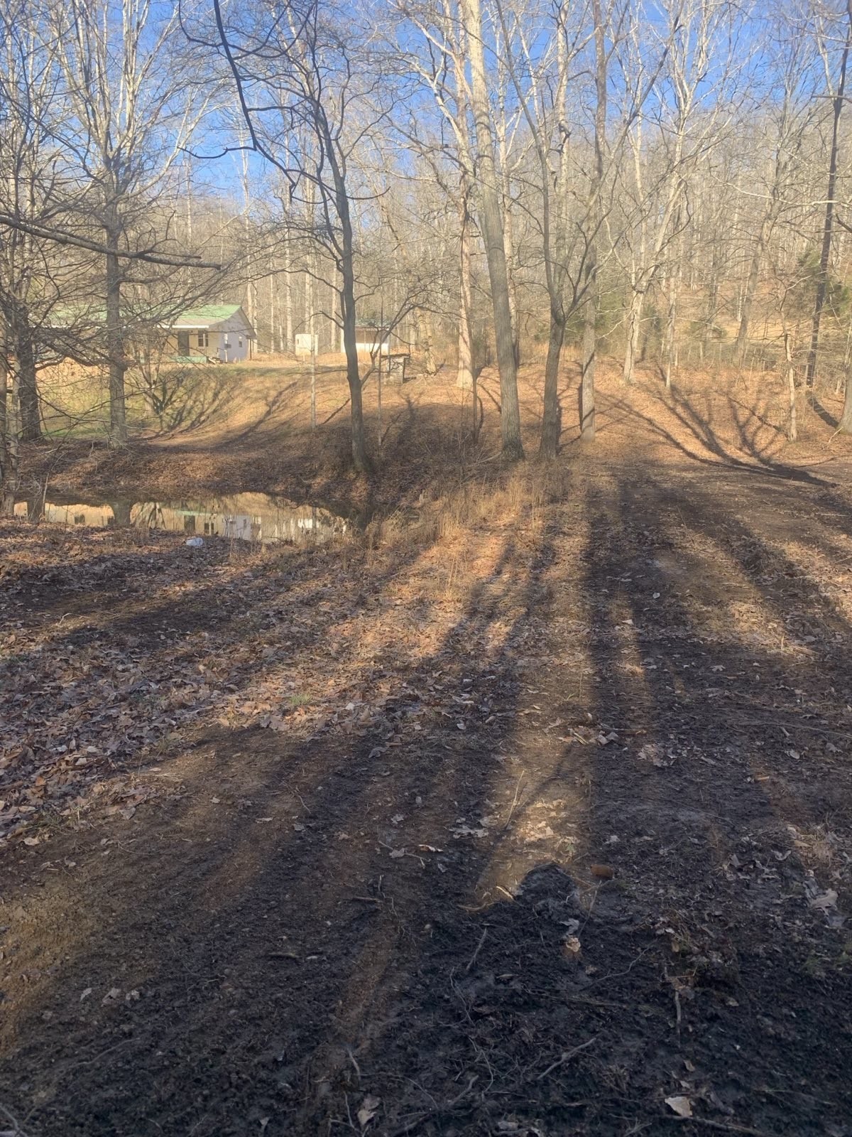 1252 Kelly Road Centerville, TN 37033 - Photo 1 of 34 a view of yard with trees in the background