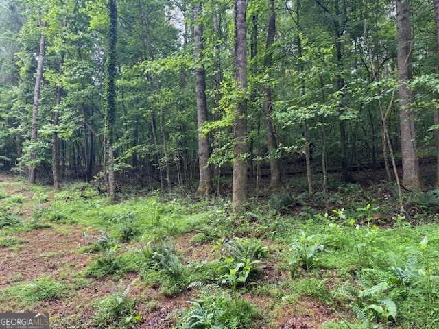 32 Johnson Mill Road Ellijay, GA 30536 - Photo 1 of 1 Gallery Image 1