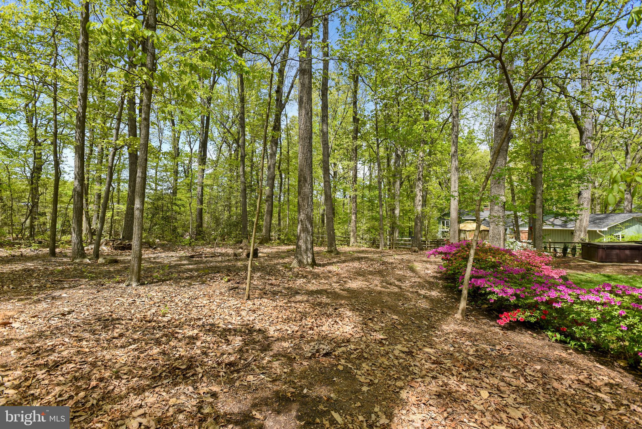 2404 Bugle Lane Reston, VA 20191 - Photo 14 of 67 Expansive Back yard