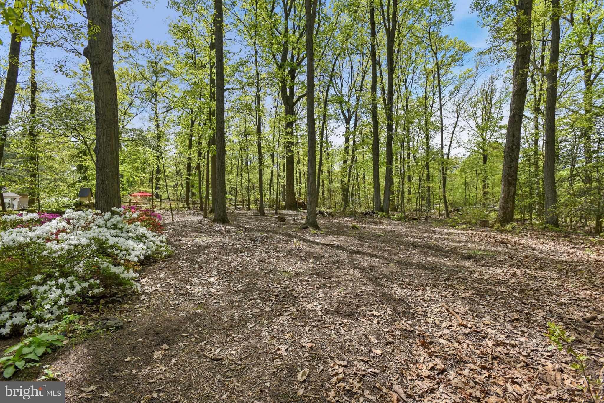 2404 Bugle Lane Reston, VA 20191 - Photo 33 of 67 Expansive Rear Yard