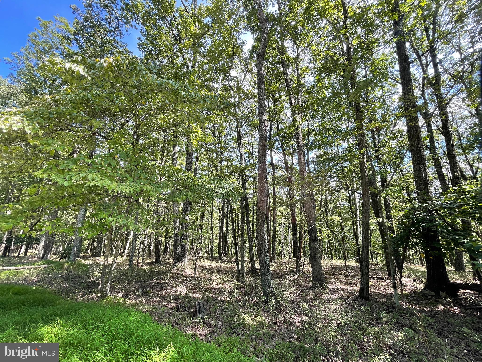 a view of outdoor space and yard
