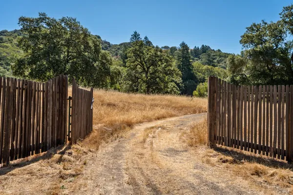 a view of a yard with wooden fence and trees