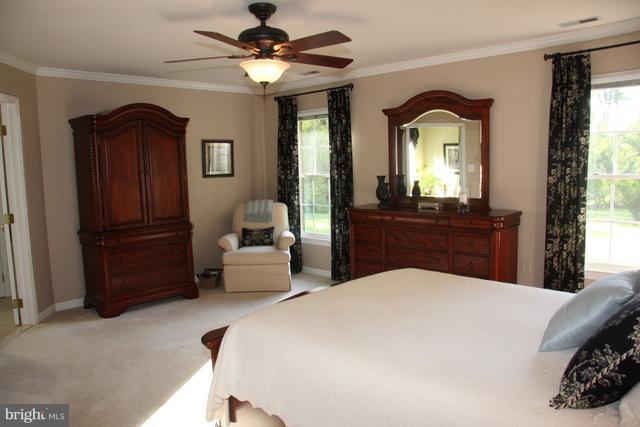 10231 Dunfries Road Vienna, VA 22181 - Photo 14 of 30 Lots of natural lighting in master bedroom