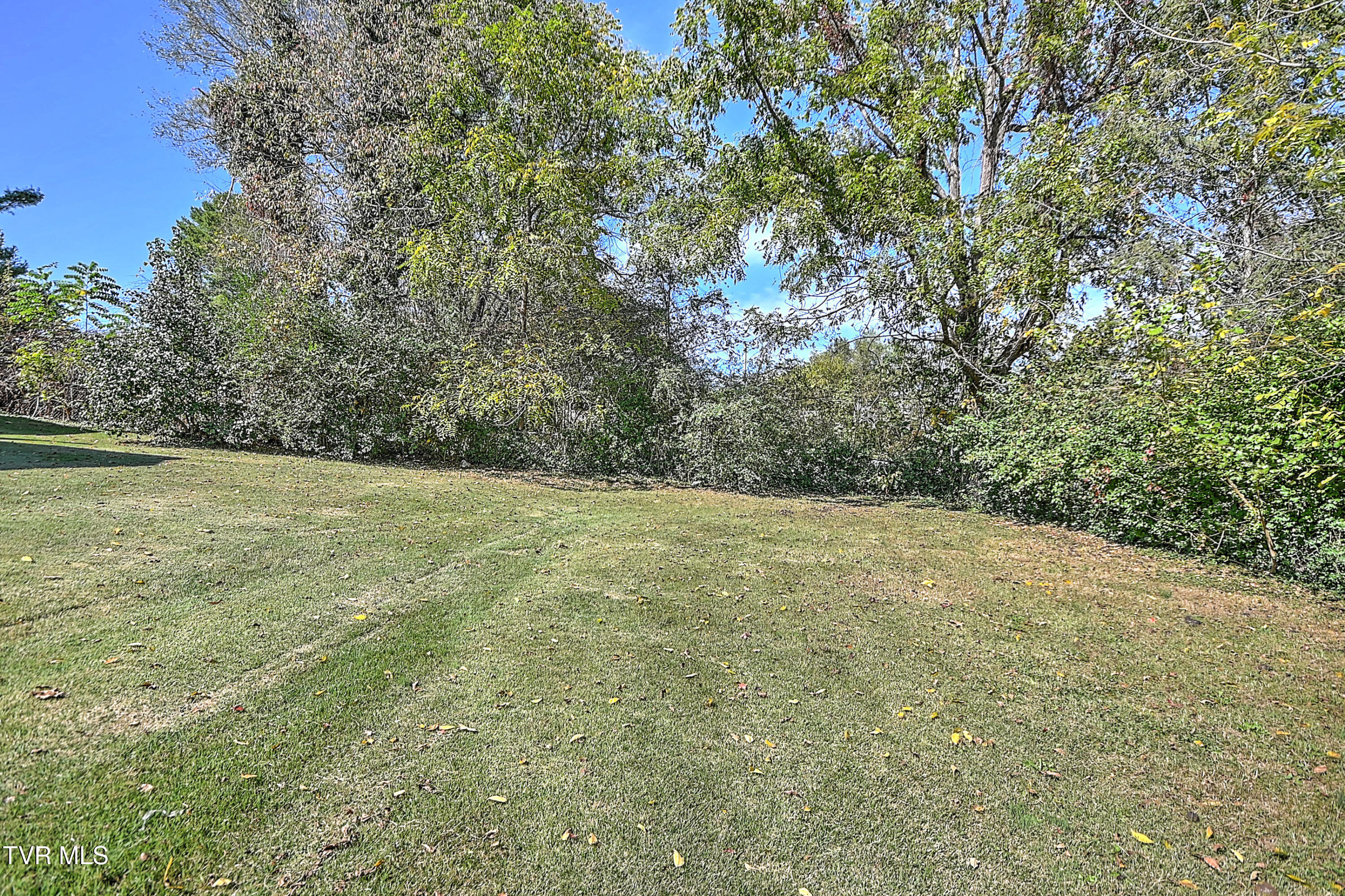 101 Tween Hills Road Bristol, TN 37620 - Photo 38 of 41 101 Tween Hills LR-43