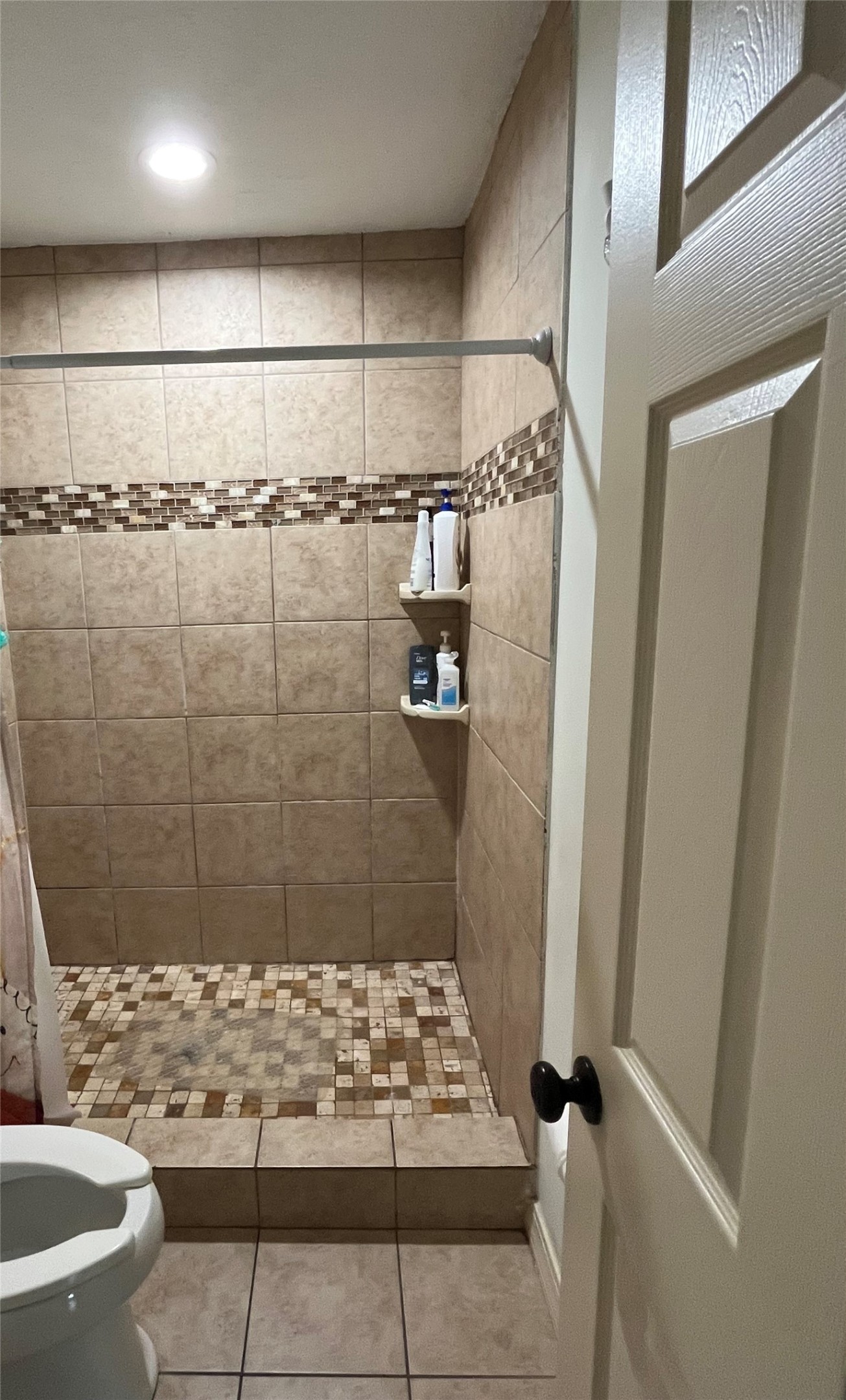 208 Oddo Street Houston, TX 77022 - Photo 8 of 10 a bathroom with a shower