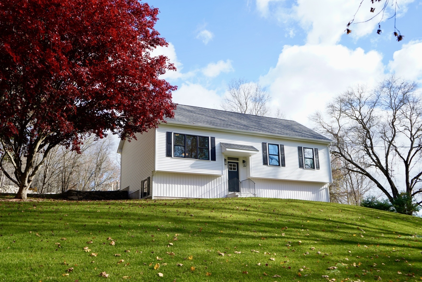 a front view of house with yard and trees