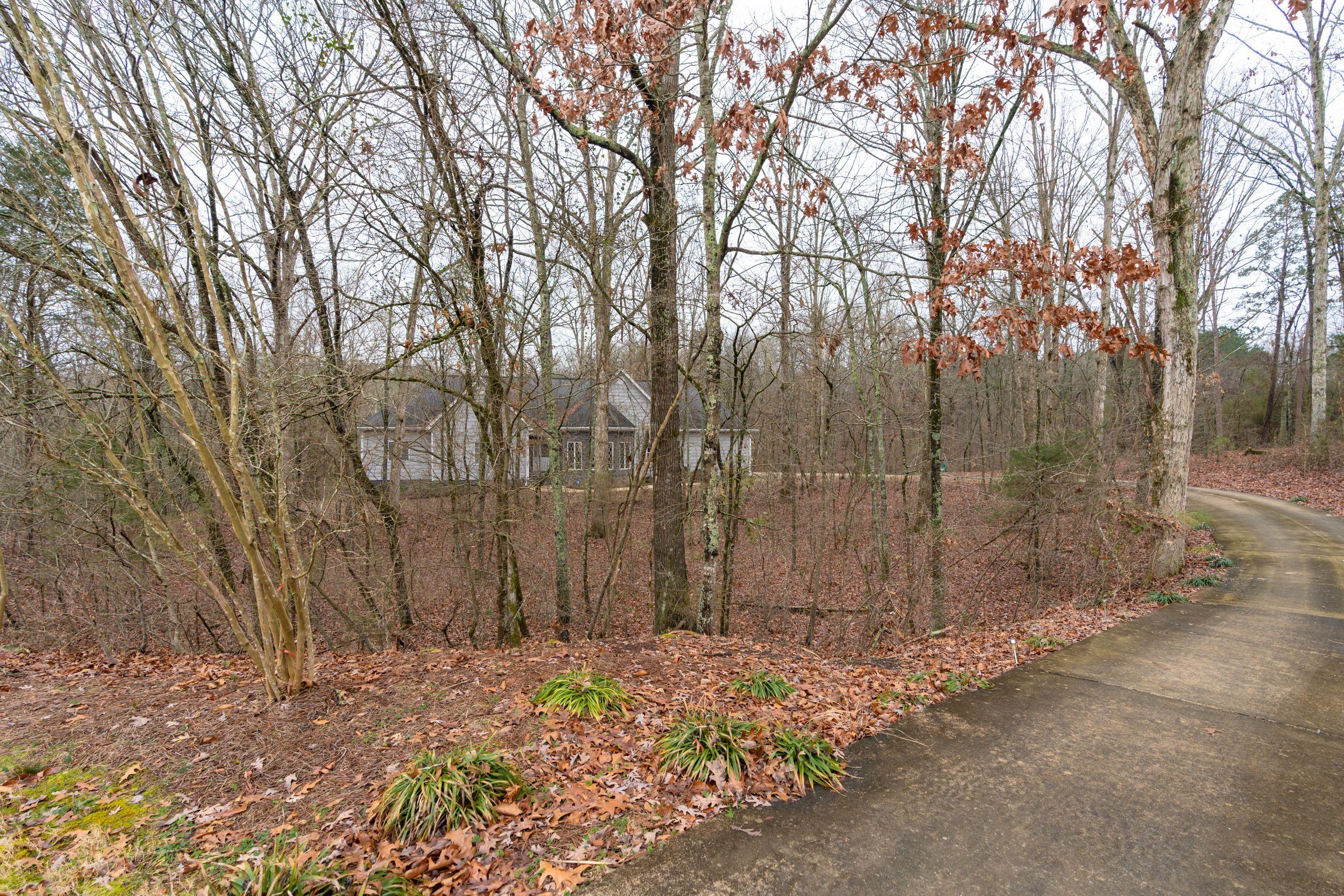 585 Winding Ridge Road Rock Spring, GA 30739 - Photo 62 of 74 Driveway