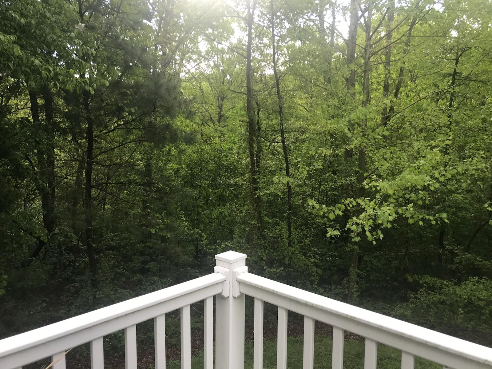 585 Winding Ridge Road Rock Spring, GA 30739 - Photo 65 of 74 Back Deck in Summer