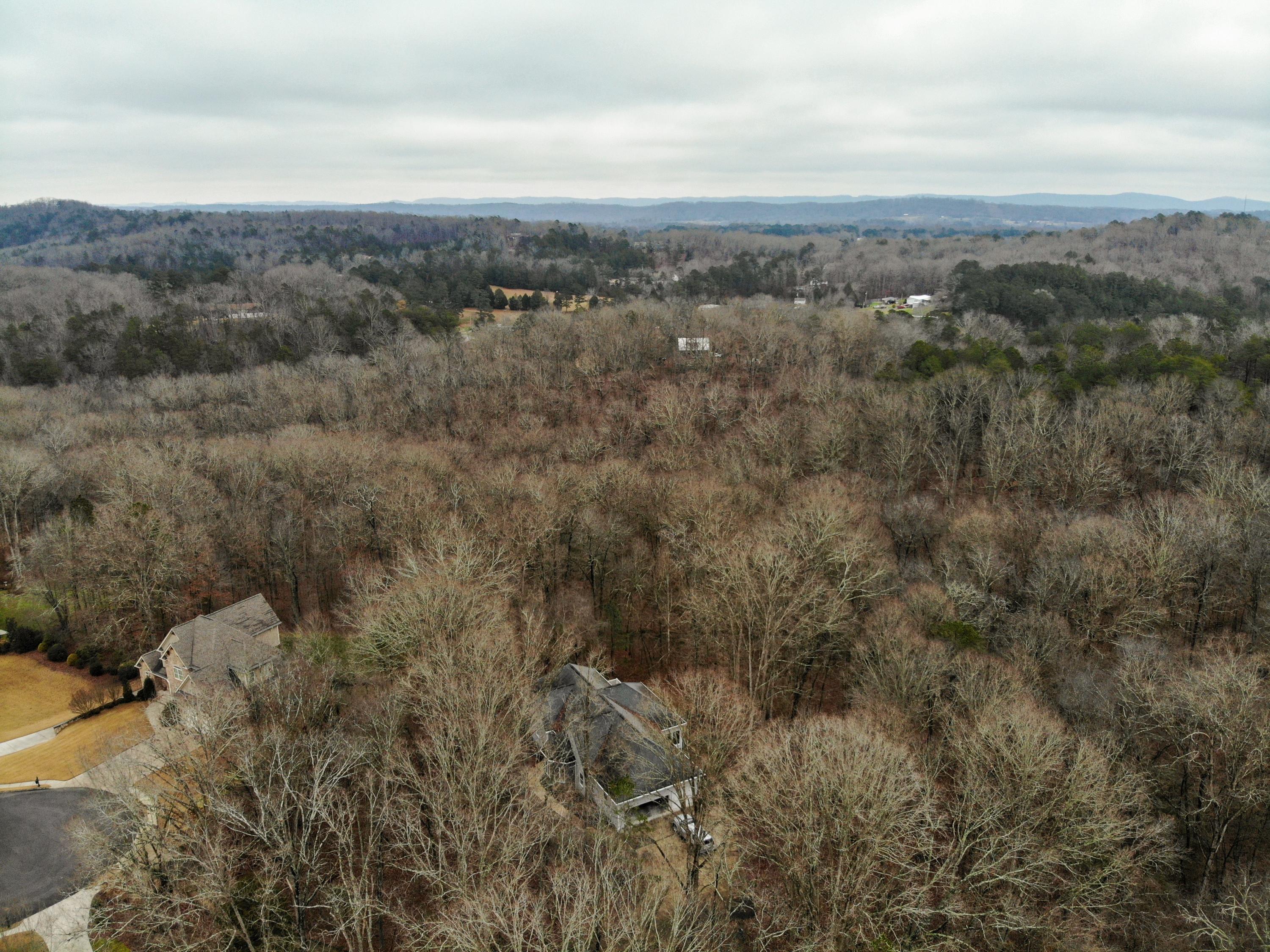 585 Winding Ridge Road Rock Spring, GA 30739 - Photo 69 of 74 Overlook