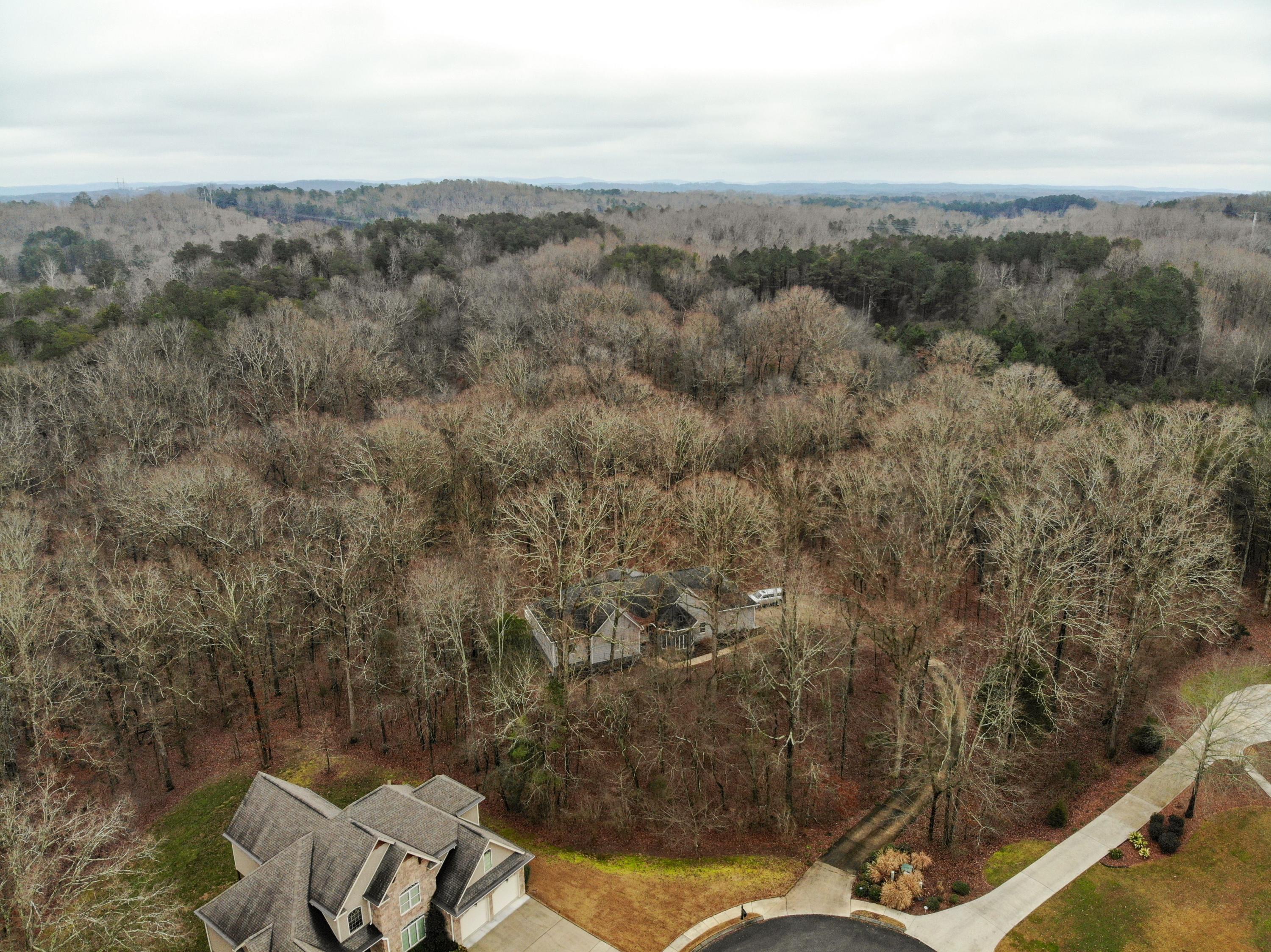 585 Winding Ridge Road Rock Spring, GA 30739 - Photo 71 of 74 Overlook