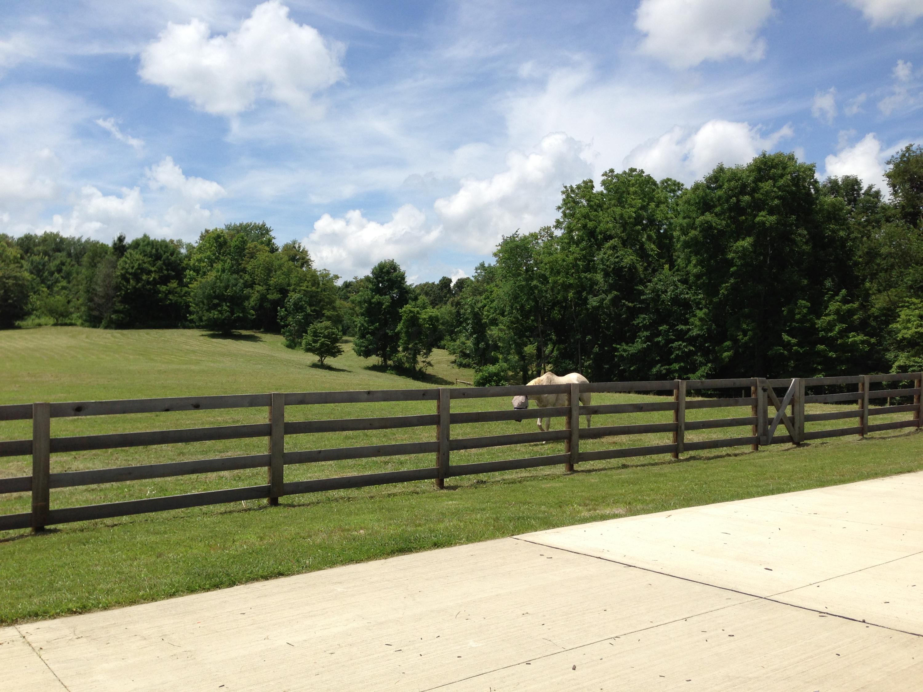 8138 Porter Run Road Roseville, OH 43777 - Photo 53 of 57