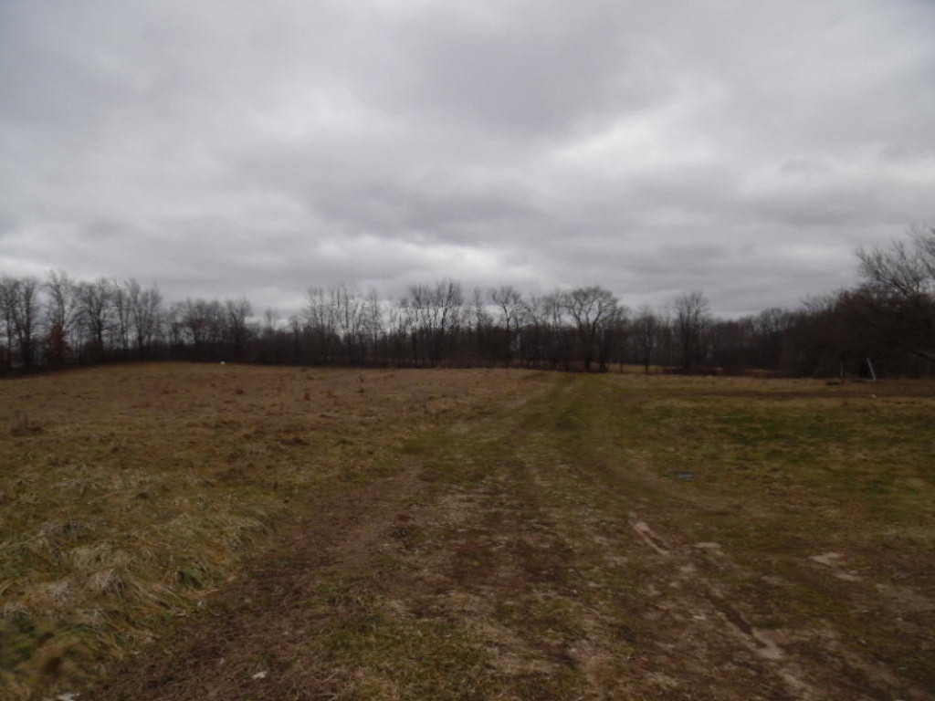 14991 Steininger Road Marcellus, MI 49067 - Photo 5 of 12 2 8 17 (4)
