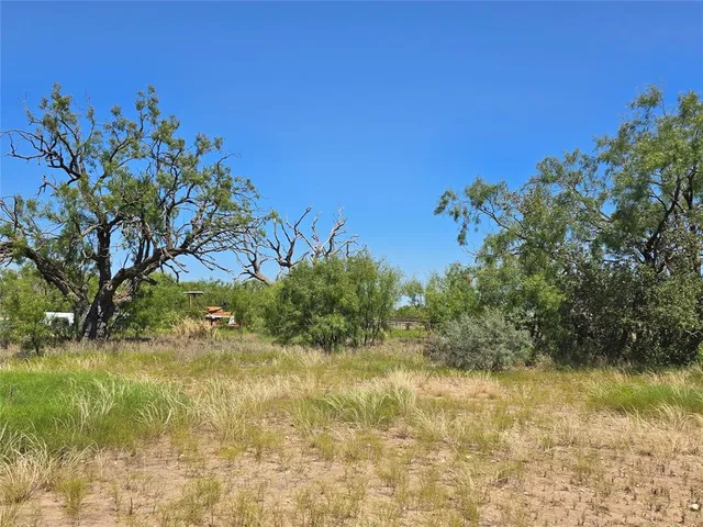 a view of a yard with a tree