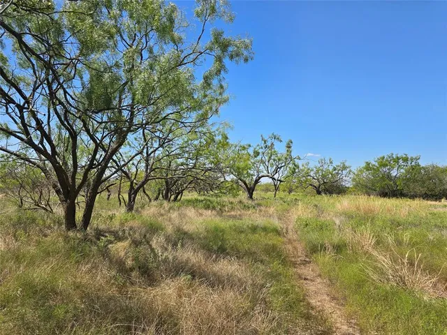 a view of lake with mountain