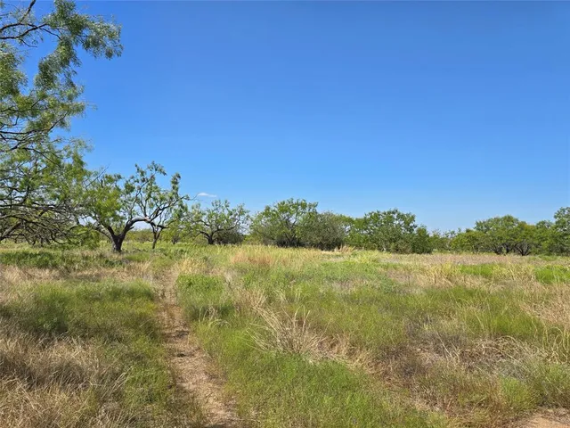 a view of a lake with a yard