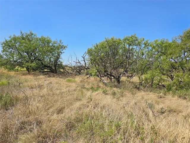 a view of a yard with an tree