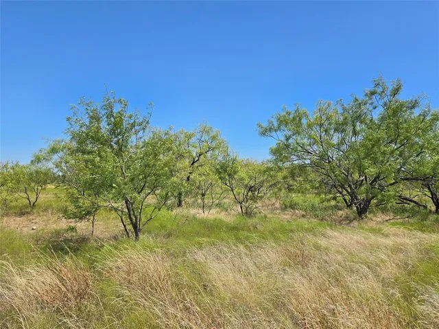 a view of a field with trees in the background