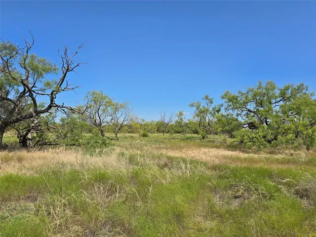 a view of a yard with a house