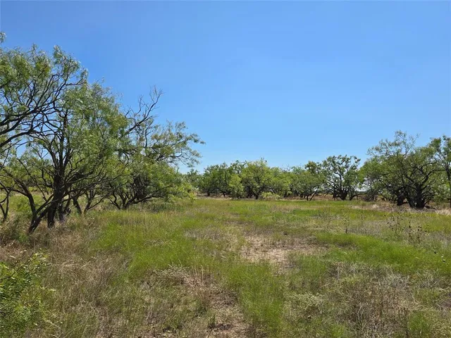 a view of a yard with trees
