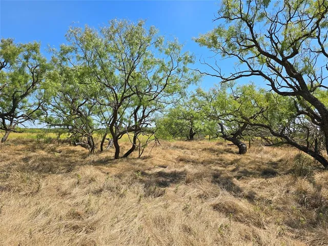 $239,875 | 2132 St Talpa Tx 76882, Talpa, TX 76882