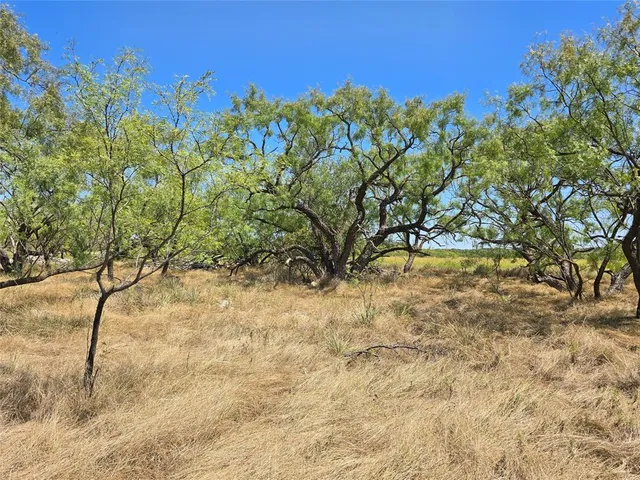 $239,875 | 2132 St Talpa Tx 76882, Talpa, TX 76882