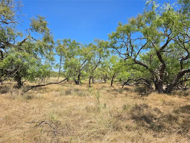 $239,875 | 2132 St Talpa Tx 76882, Talpa, TX 76882