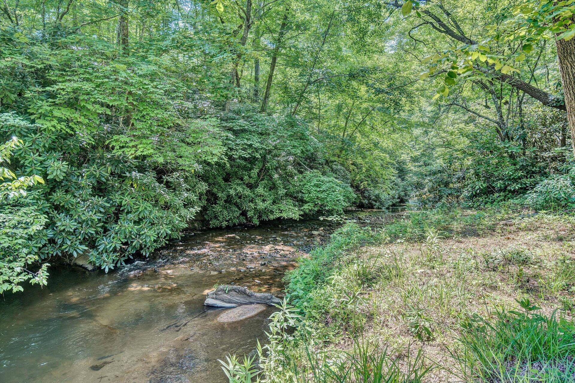 2446 Deer Run Road Ferrum, VA 24088 - Photo 119 of 144 Nature Lovers Dream