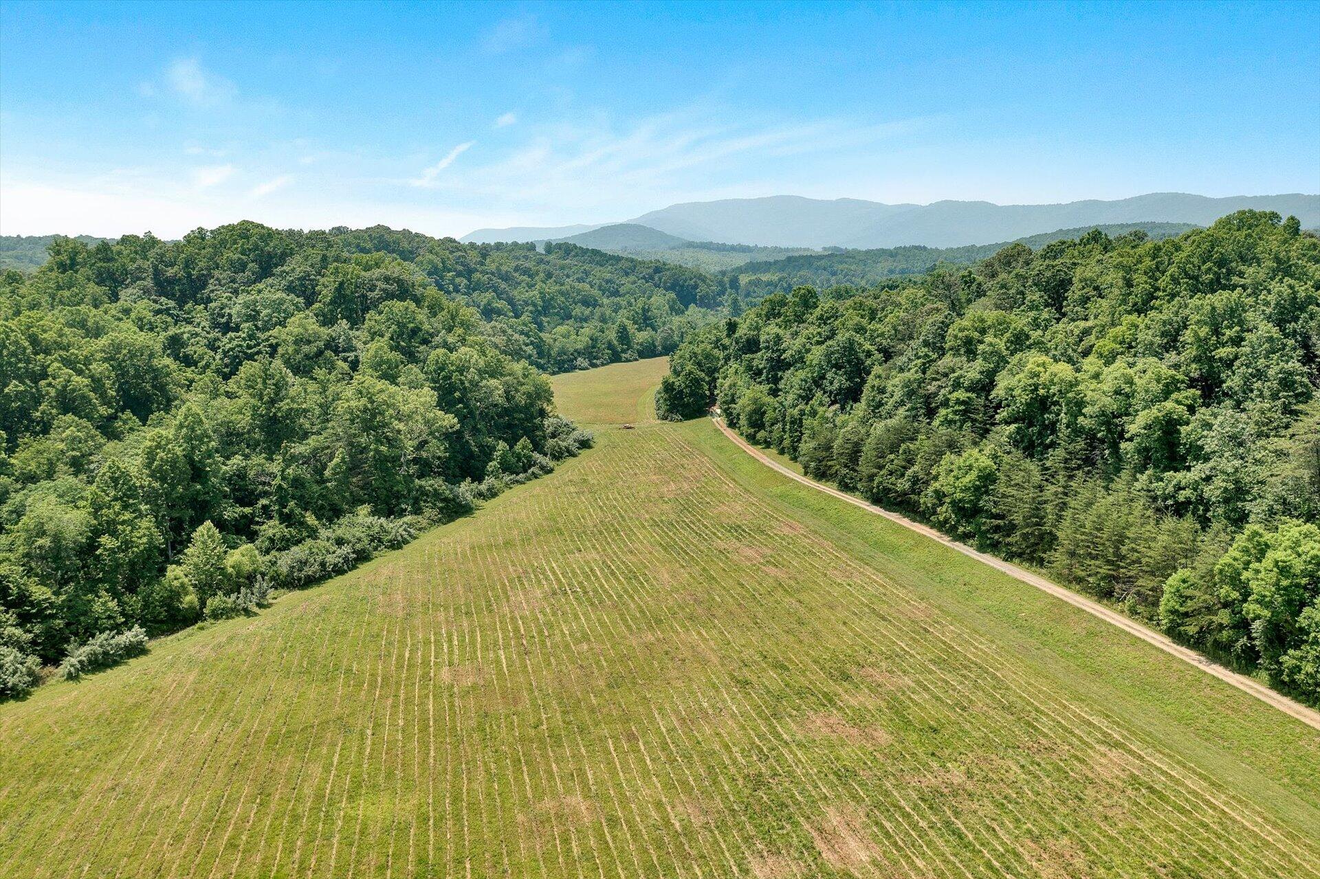 2446 Deer Run Road Ferrum, VA 24088 - Photo 123 of 144 Pasture Land