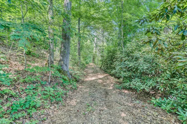 $2,900,000 | 2446 Deer Run Road, Ferrum, VA 24088